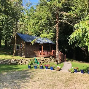  Lodge Willow